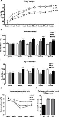 Effects of the Lipid Metabolites and the Gut Microbiota in ApoE−/− Mice on Atherosclerosis Co-Depression From the Microbiota-Gut-Brain Axis